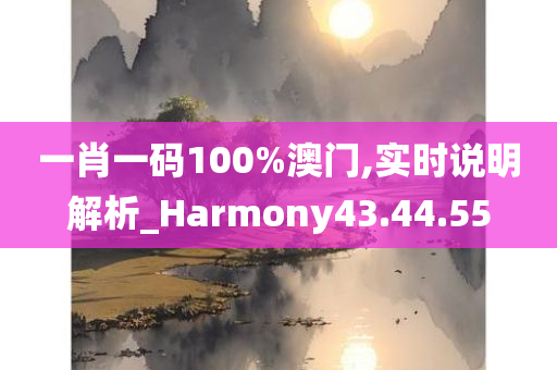 一肖一码100%澳门,实时说明解析_Harmony43.44.55