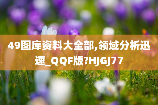 49图库资料大全部,领域分析迅速_QQF版?HJGJ77