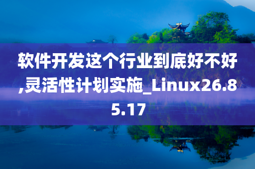 软件开发这个行业到底好不好,灵活性计划实施_Linux26.85.17