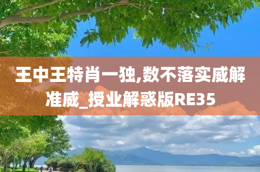 王中王特肖一独,数不落实威解准威_授业解惑版RE35