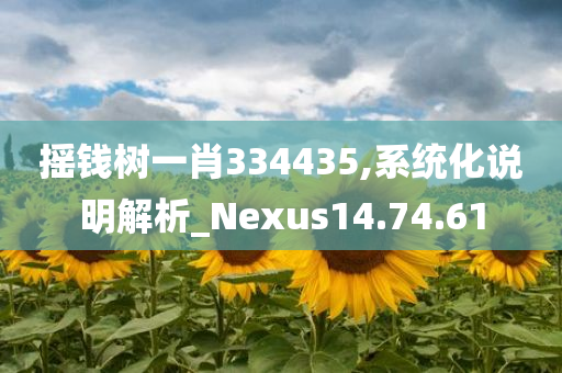 摇钱树一肖334435,系统化说明解析_Nexus14.74.61