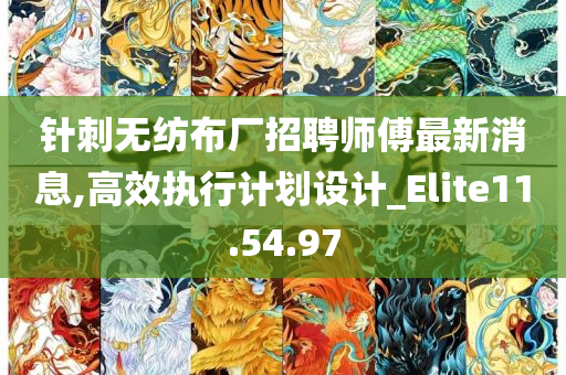 针刺无纺布厂招聘师傅最新消息,高效执行计划设计_Elite11.54.97