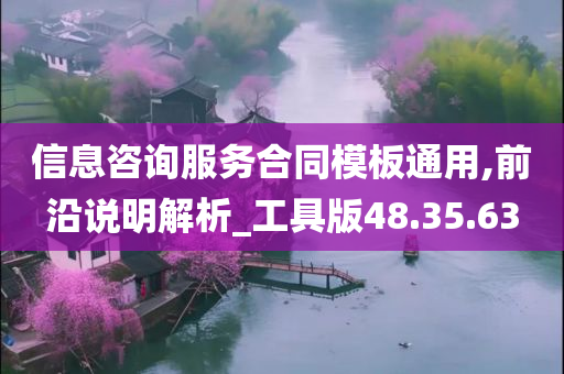 信息咨询服务合同模板通用,前沿说明解析_工具版48.35.63