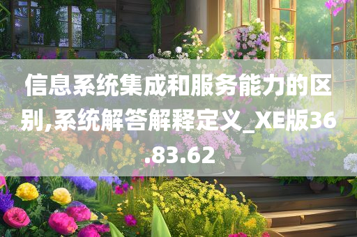 信息系统集成和服务能力的区别,系统解答解释定义_XE版36.83.62