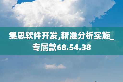 集思软件开发,精准分析实施_专属款68.54.38