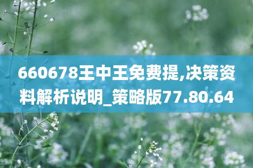 660678王中王免费提,决策资料解析说明_策略版77.80.64