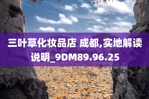 三叶草化妆品店 成都,实地解读说明_9DM89.96.25