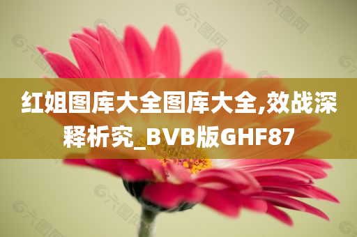 红姐图库大全图库大全,效战深释析究_BVB版GHF87