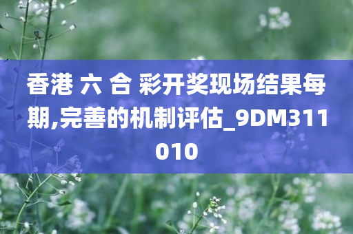 香港 六 合 彩开奖现场结果每期,完善的机制评估_9DM311010