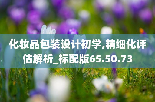 化妆品包装设计初学,精细化评估解析_标配版65.50.73