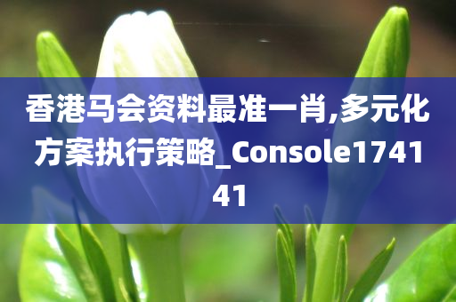 香港马会资料最准一肖,多元化方案执行策略_Console174141