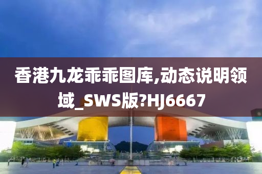 香港九龙乖乖图库,动态说明领域_SWS版?HJ6667