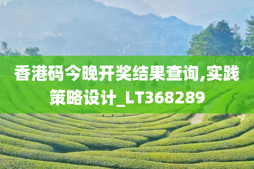 香港码今晚开奖结果查询,实践策略设计_LT368289