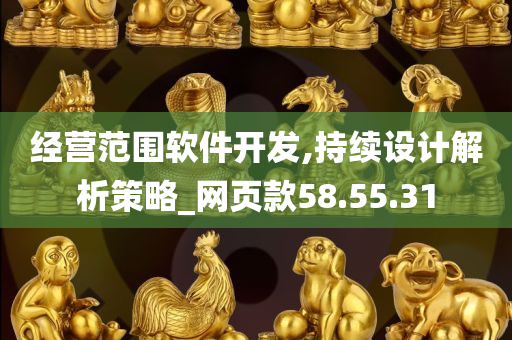 经营范围软件开发,持续设计解析策略_网页款58.55.31