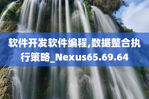 软件开发软件编程,数据整合执行策略_Nexus65.69.64