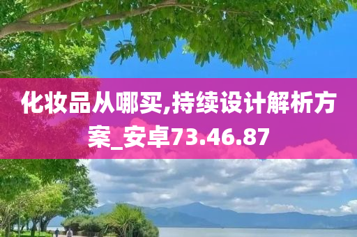 化妆品从哪买,持续设计解析方案_安卓73.46.87