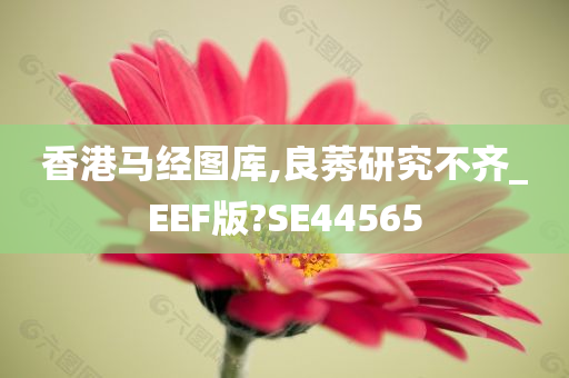 香港马经图库,良莠研究不齐_EEF版?SE44565