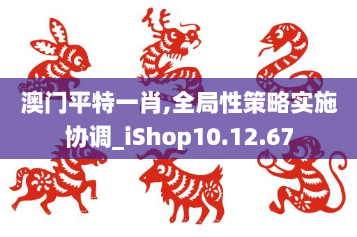 澳门平特一肖,全局性策略实施协调_iShop10.12.67