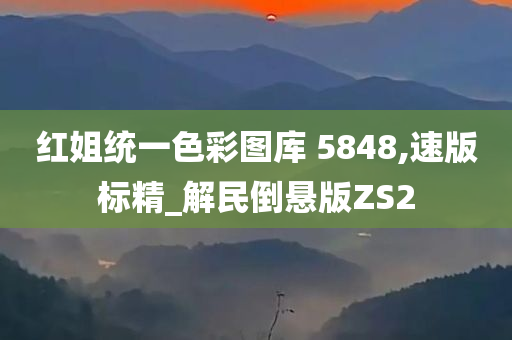 红姐统一色彩图库 5848,速版标精_解民倒悬版ZS2