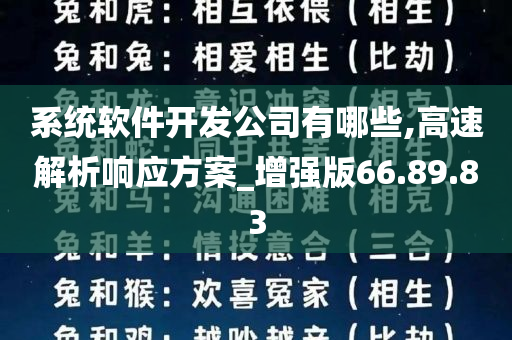 系统软件开发公司有哪些,高速解析响应方案_增强版66.89.83