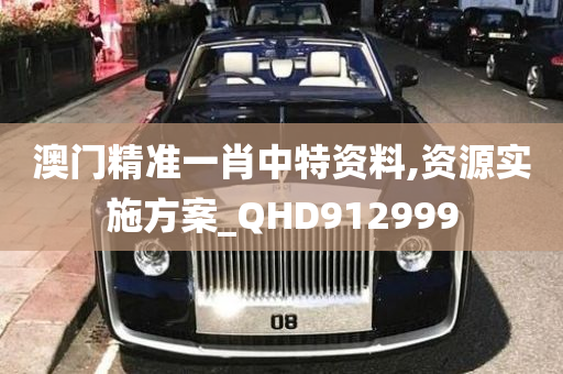 澳门精准一肖中特资料,资源实施方案_QHD912999