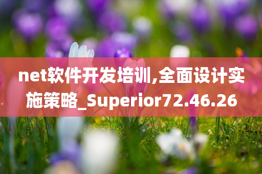 net软件开发培训,全面设计实施策略_Superior72.46.26