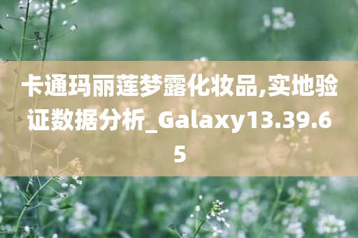 卡通玛丽莲梦露化妆品,实地验证数据分析_Galaxy13.39.65