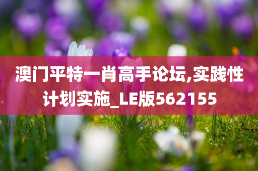 澳门平特一肖高手论坛,实践性计划实施_LE版562155