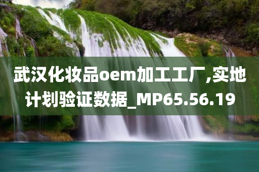 武汉化妆品oem加工工厂,实地计划验证数据_MP65.56.19