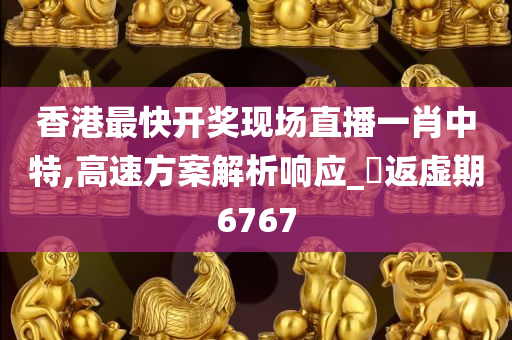 香港最快开奖现场直播一肖中特,高速方案解析响应_‌返虚期6767