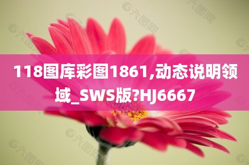 118图库彩图1861,动态说明领域_SWS版?HJ6667