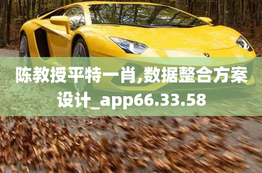 陈教授平特一肖,数据整合方案设计_app66.33.58