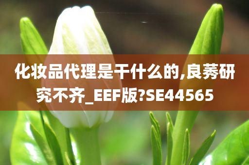 化妆品代理是干什么的,良莠研究不齐_EEF版?SE44565