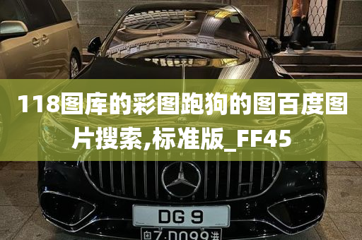 118图库的彩图跑狗的图百度图片搜索,标准版_FF45