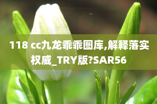 118 cc九龙乖乖图库,解释落实权威_TRY版?SAR56