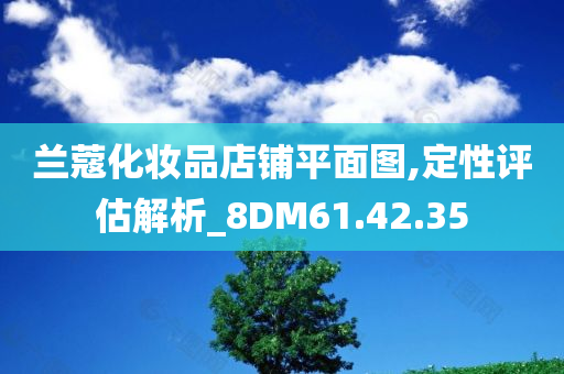 兰蔻化妆品店铺平面图,定性评估解析_8DM61.42.35