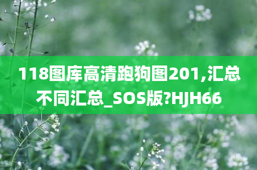 118图库高清跑狗图201,汇总不同汇总_SOS版?HJH66