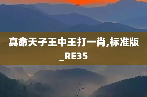 真命天子王中王打一肖,标准版_RE35