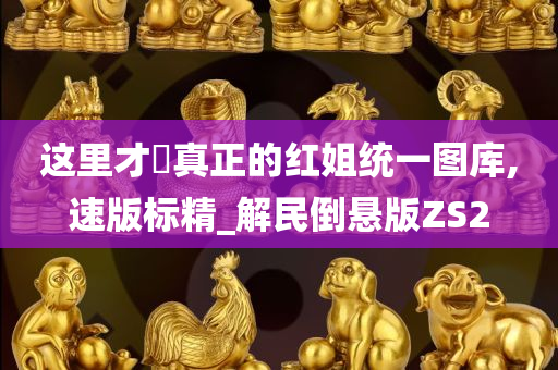 这里才昰真正的红姐统一图库,速版标精_解民倒悬版ZS2