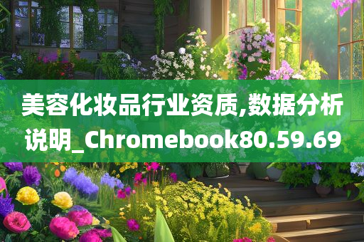 美容化妆品行业资质,数据分析说明_Chromebook80.59.69