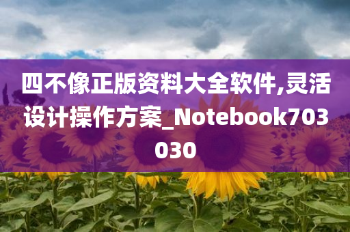 四不像正版资料大全软件,灵活设计操作方案_Notebook703030