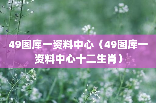 49图库一资料中心（49图库一资料中心十二生肖）