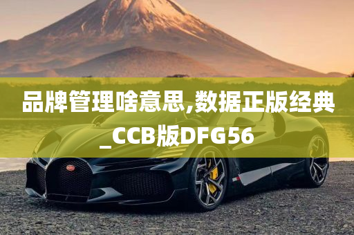 品牌管理啥意思,数据正版经典_CCB版DFG56