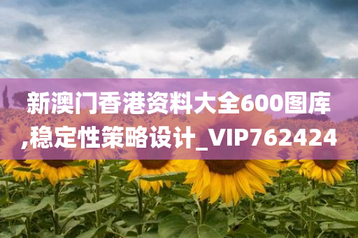 新澳门香港资料大全600图库,稳定性策略设计_VIP762424