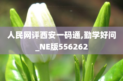 人民网评西安一码通,勤学好问_NE版556262