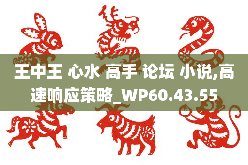 王中王 心水 高手 论坛 小说,高速响应策略_WP60.43.55