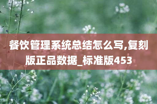 餐饮管理系统总结怎么写,复刻版正品数据_标准版453