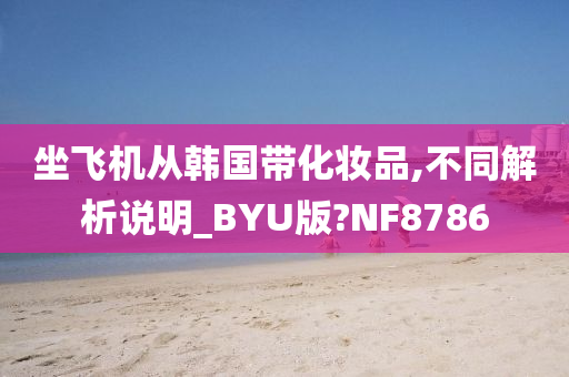 坐飞机从韩国带化妆品,不同解析说明_BYU版?NF8786