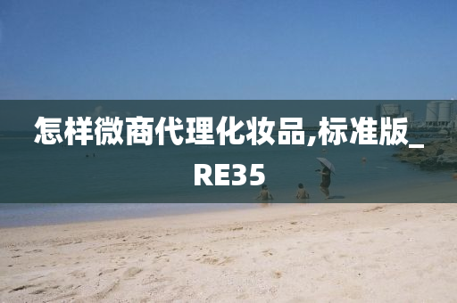 怎样微商代理化妆品,标准版_RE35