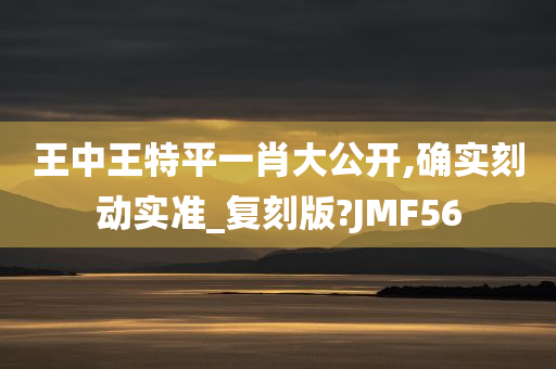 王中王特平一肖大公开,确实刻动实准_复刻版?JMF56